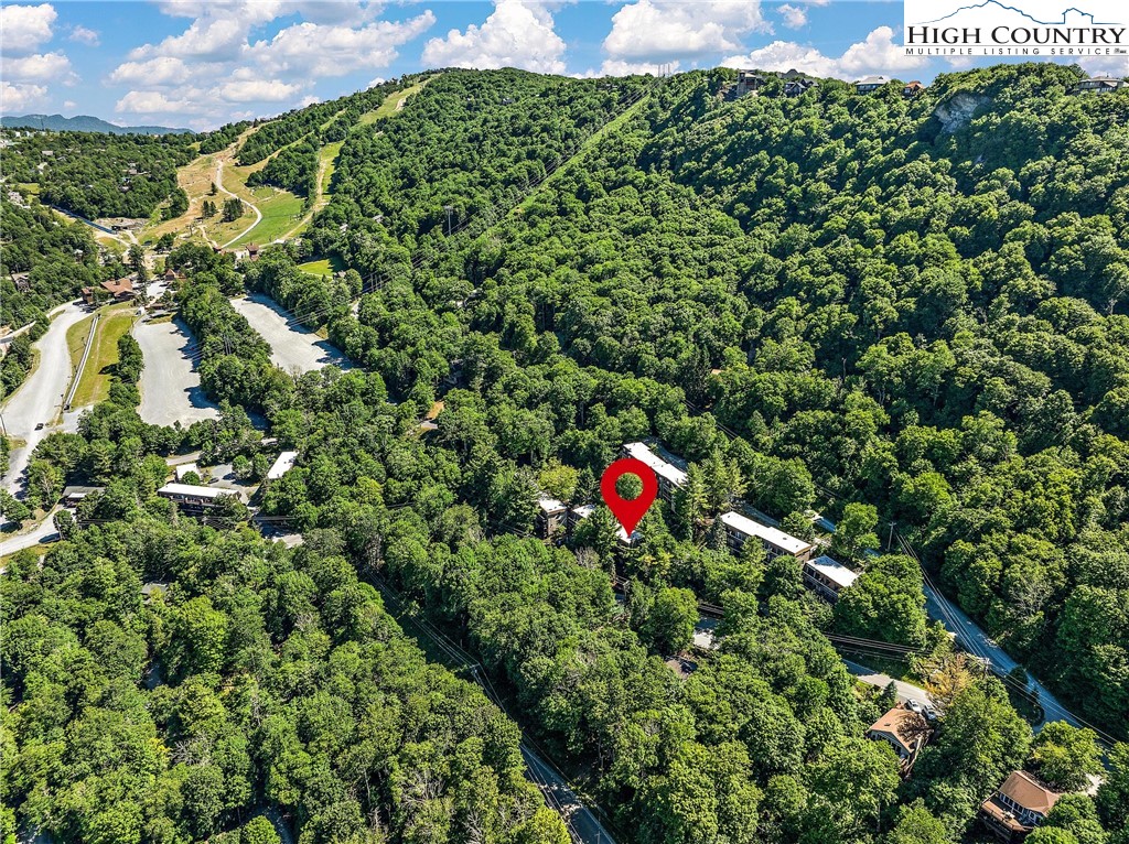 101 Mid Holiday Lane, Unit E217 Beech Mountain, NC 28604 - Photo 3 of 43 a view of a tree in a field of a building