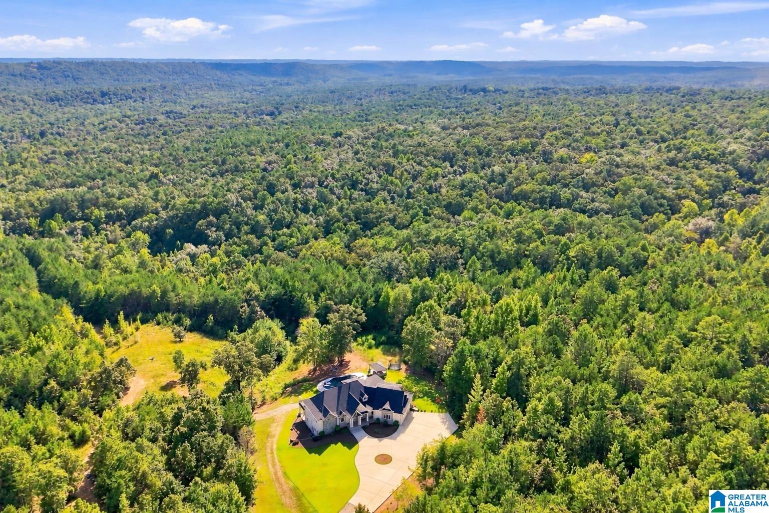 8287 Bluff Ridge Road Bessemer, AL 35022 - Photo 93 of 95 Gallery Image 93