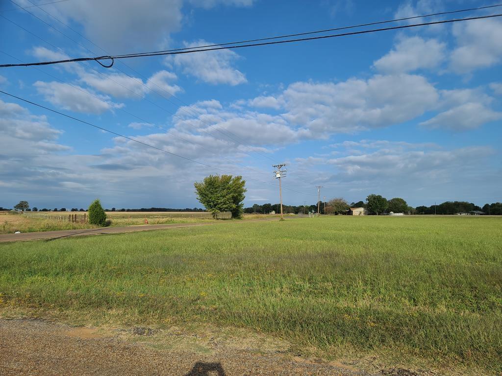0 Loving Ranch Road Trinidad, TX 75163 - Photo 1 of 1