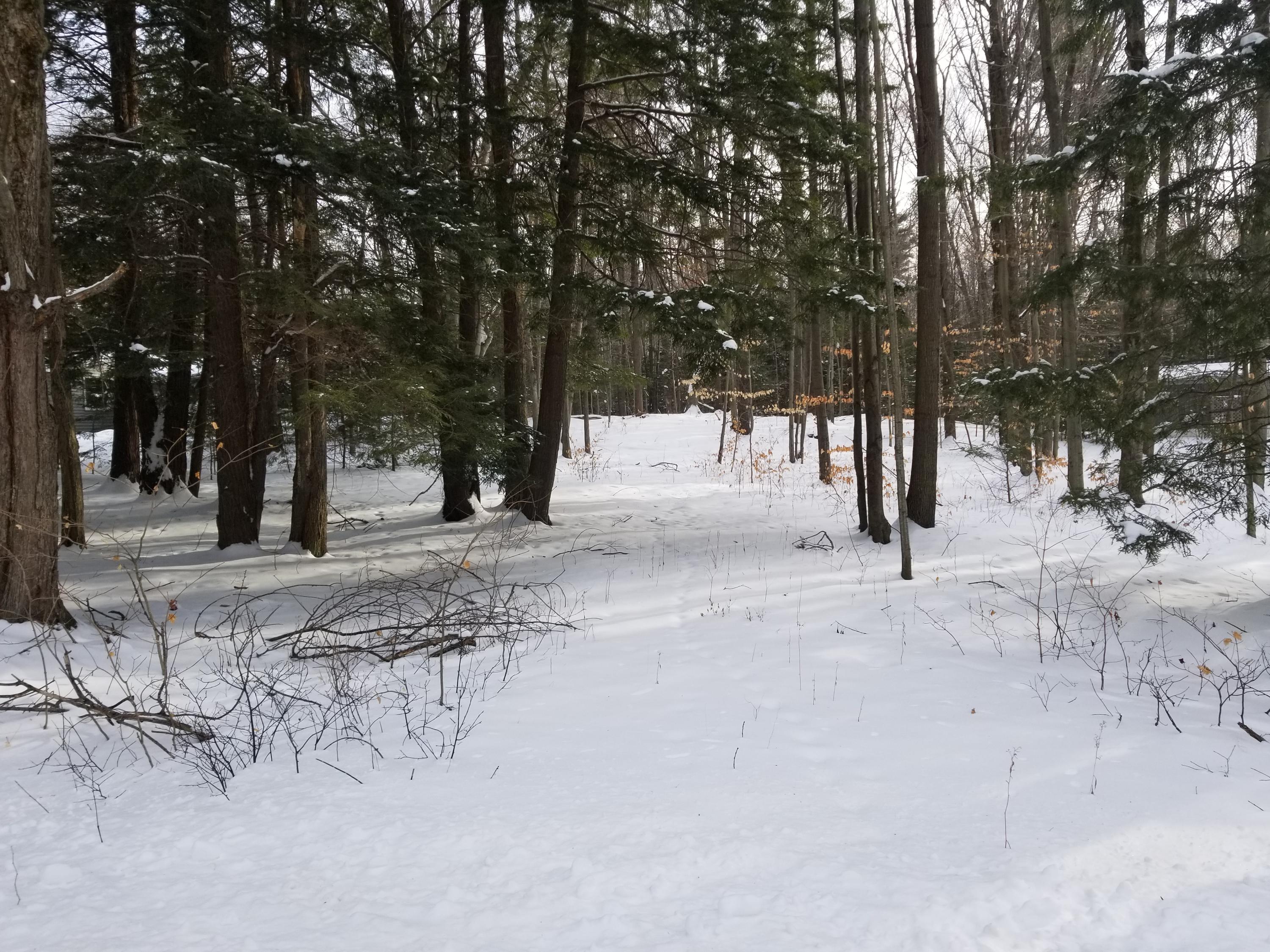 Atchison Road Harrisville, MI 48740 - Photo 1 of 2 Gallery Image 1