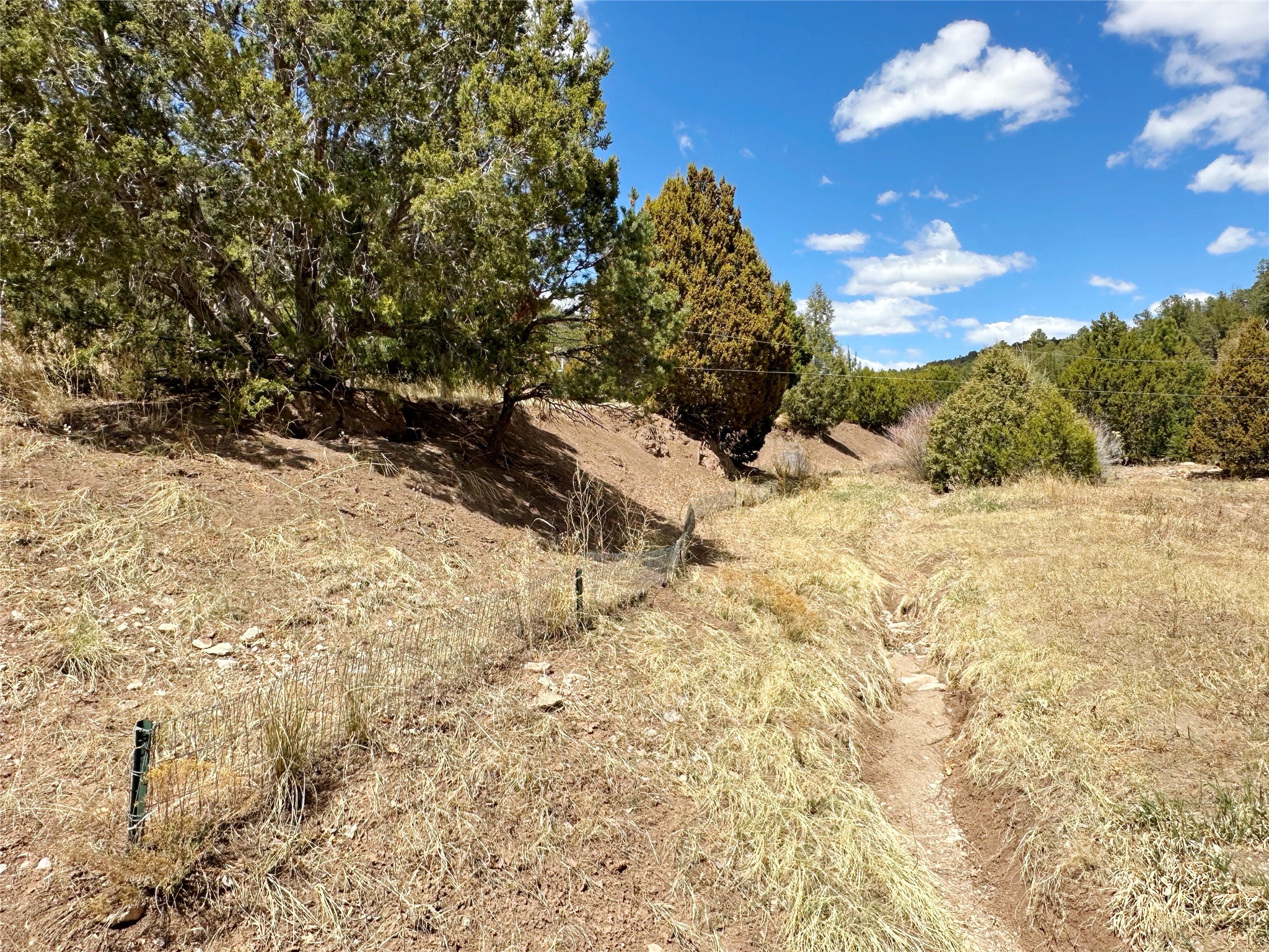 53 County Rd B44C Pecos, NM 87552 - Photo 27 of 51