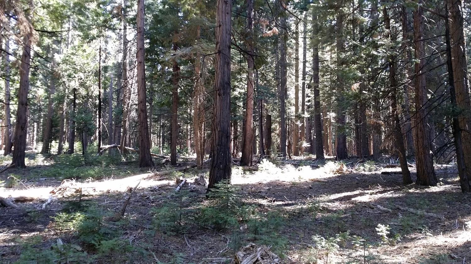 14961 Robbins Ranch Road Nevada City, CA 95959 - Photo 11 of 12