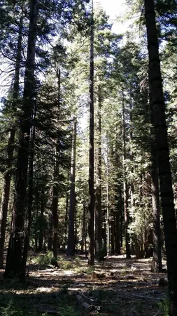 $99,000 | 14961 Robbins Ranch Road, Nevada City, CA 95959