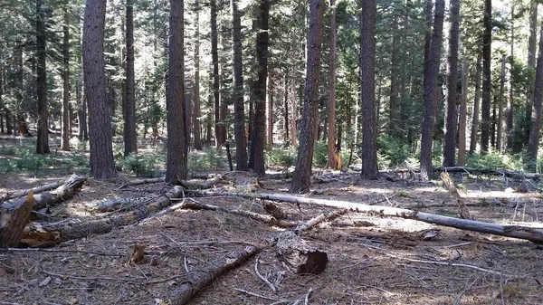 $99,000 | 14961 Robbins Ranch Road, Nevada City, CA 95959