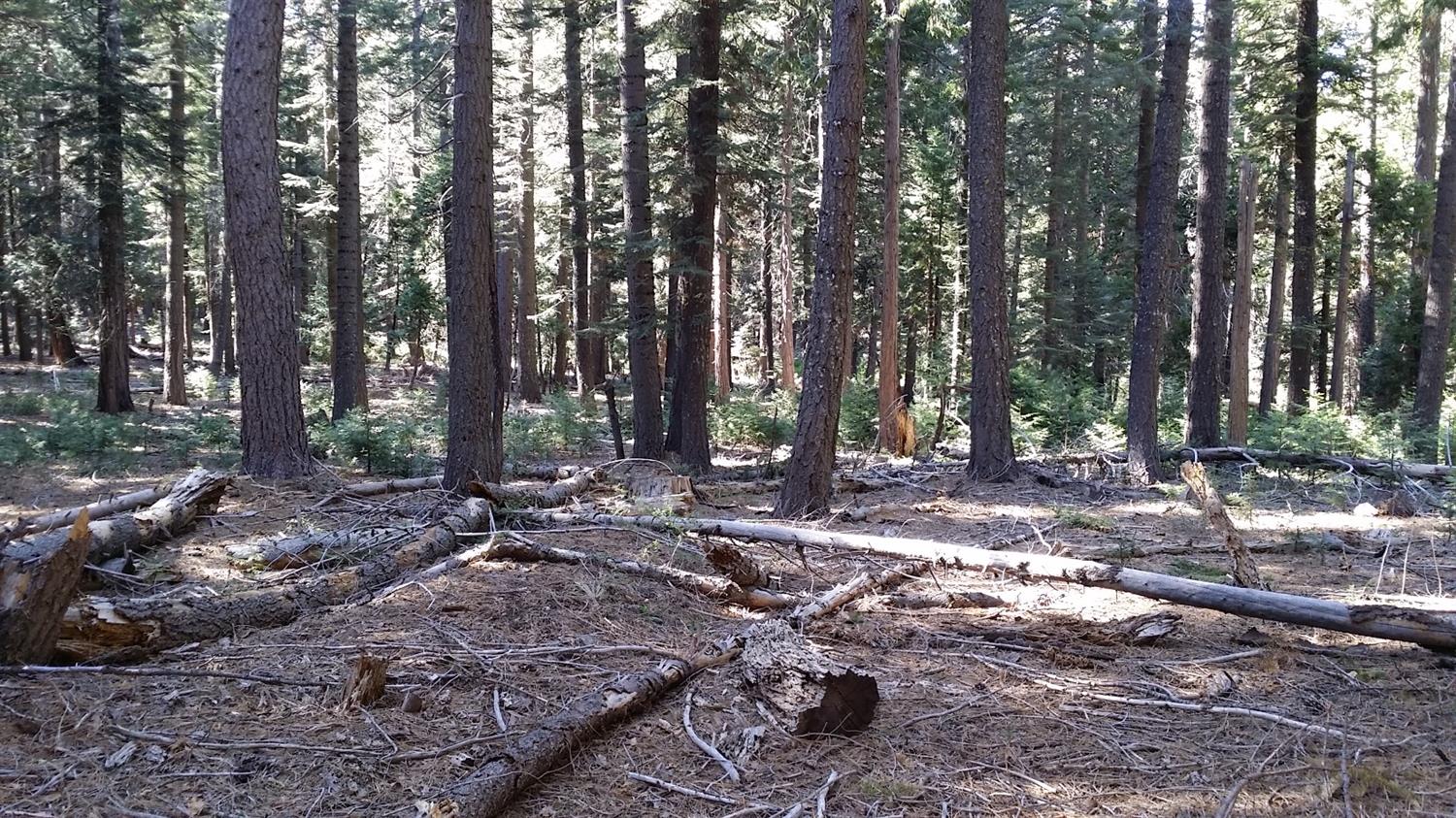 14961 Robbins Ranch Road Nevada City, CA 95959 - Photo 3 of 12