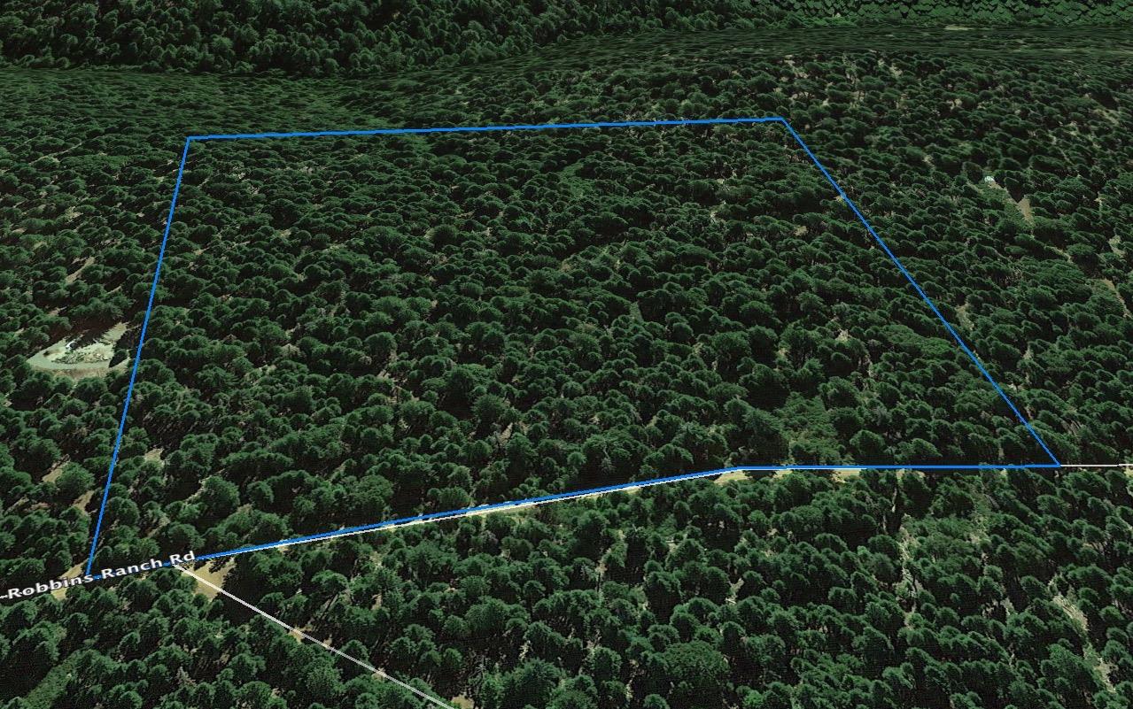 14961 Robbins Ranch Road Nevada City, CA 95959 - Photo 4 of 12