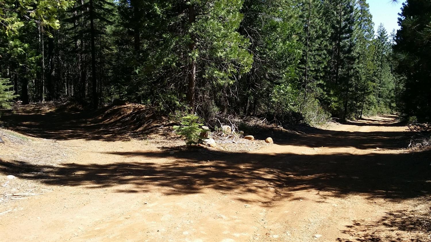 14961 Robbins Ranch Road Nevada City, CA 95959 - Photo 5 of 12