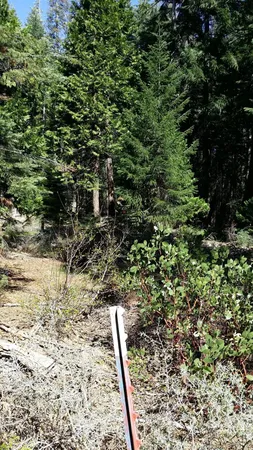 $99,000 | 14961 Robbins Ranch Road, Nevada City, CA 95959