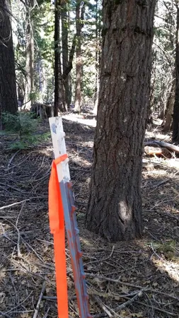 $99,000 | 14961 Robbins Ranch Road, Nevada City, CA 95959