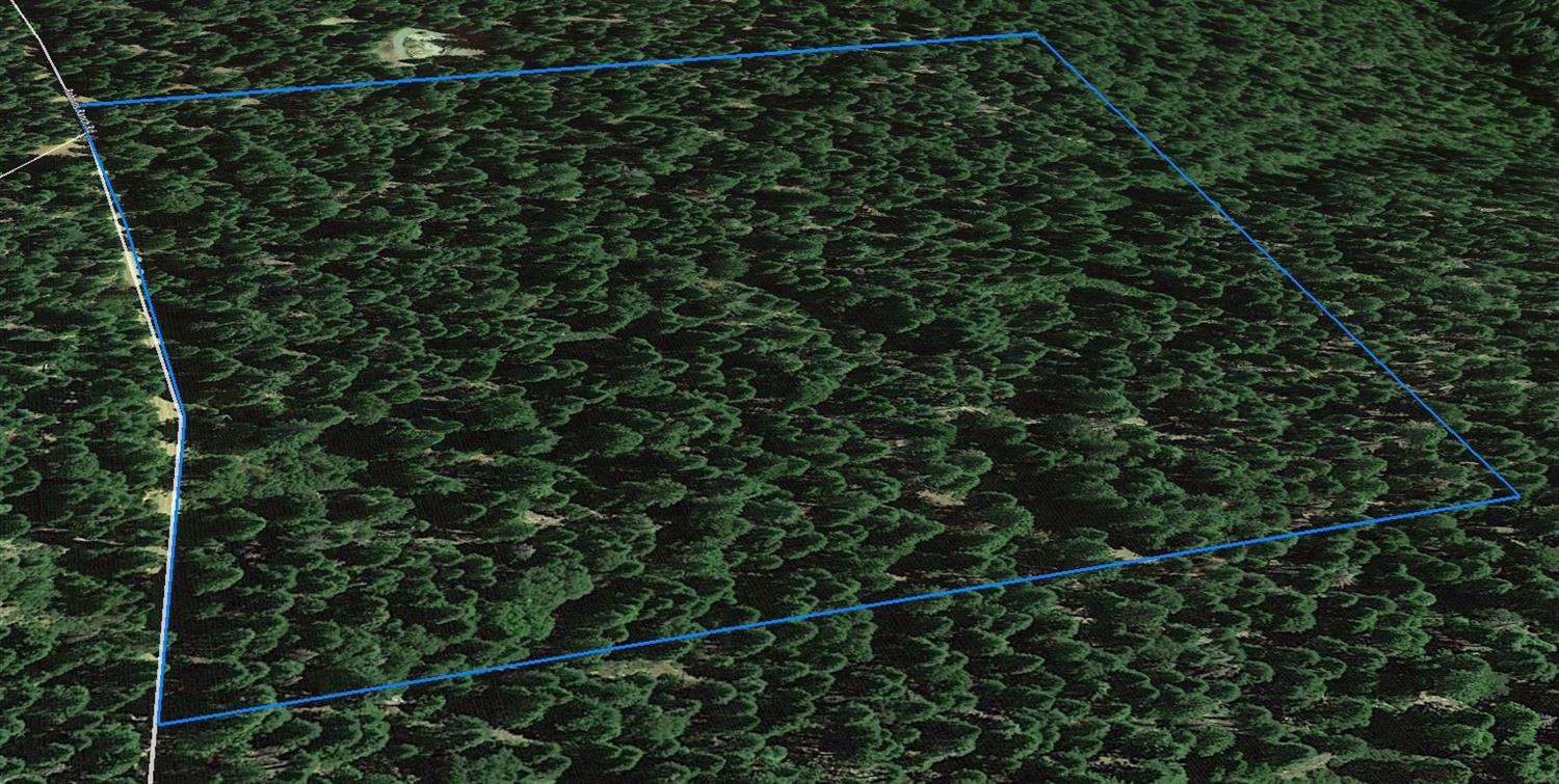 14961 Robbins Ranch Road Nevada City, CA 95959 - Photo 9 of 12