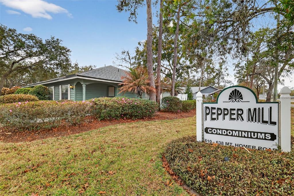 610 Mt Homer Road, Unit 610 Eustis, FL 32726 - Photo 23 of 25