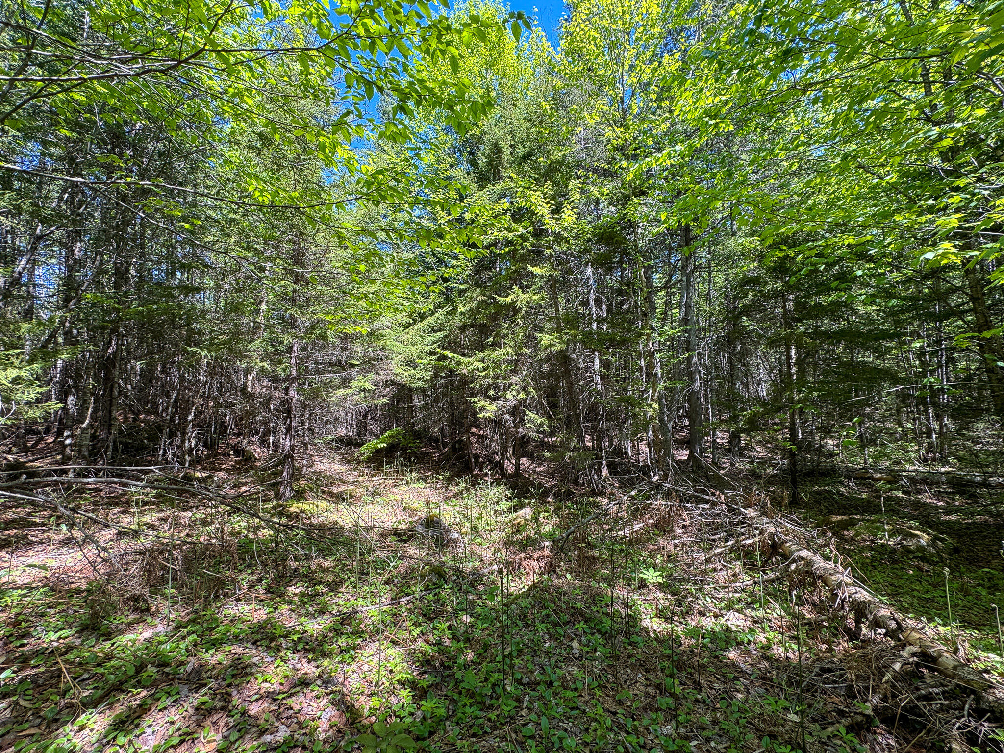 Lot 10 Morrison Brook, Unit ACRES Oakfield, ME 04763 - Photo 5 of 11