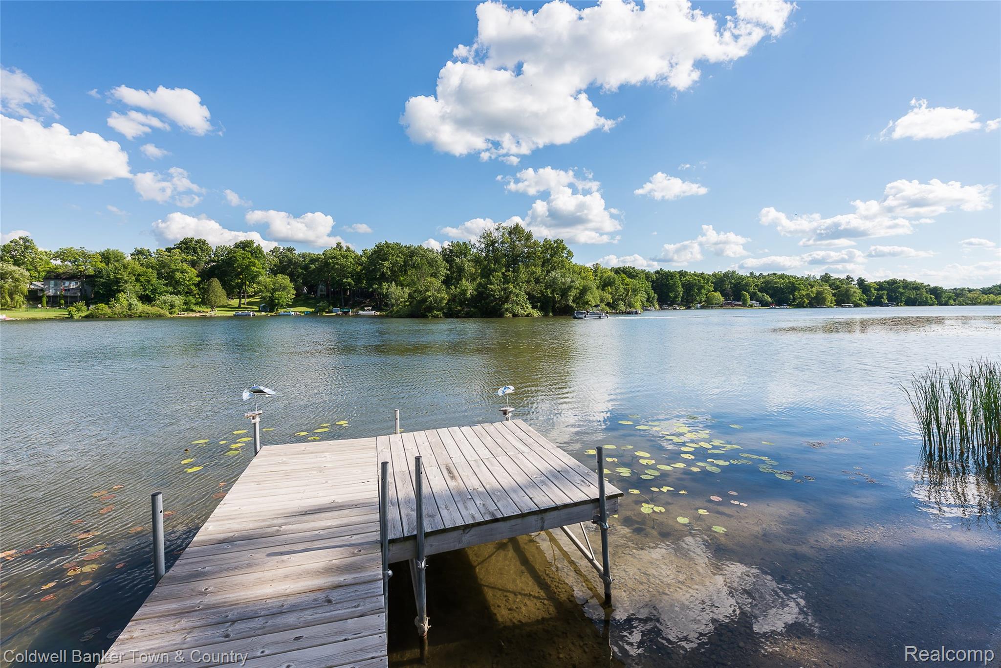 11634 Island Court Hartland, MI 48353 - Photo 12 of 56 DSC_9877.jpg