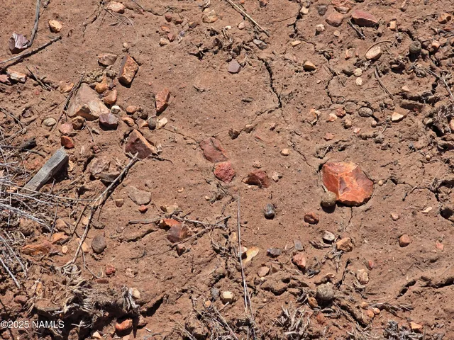 a backyard of a house