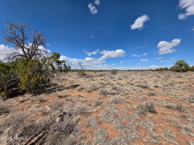 a view of a yard with a tree