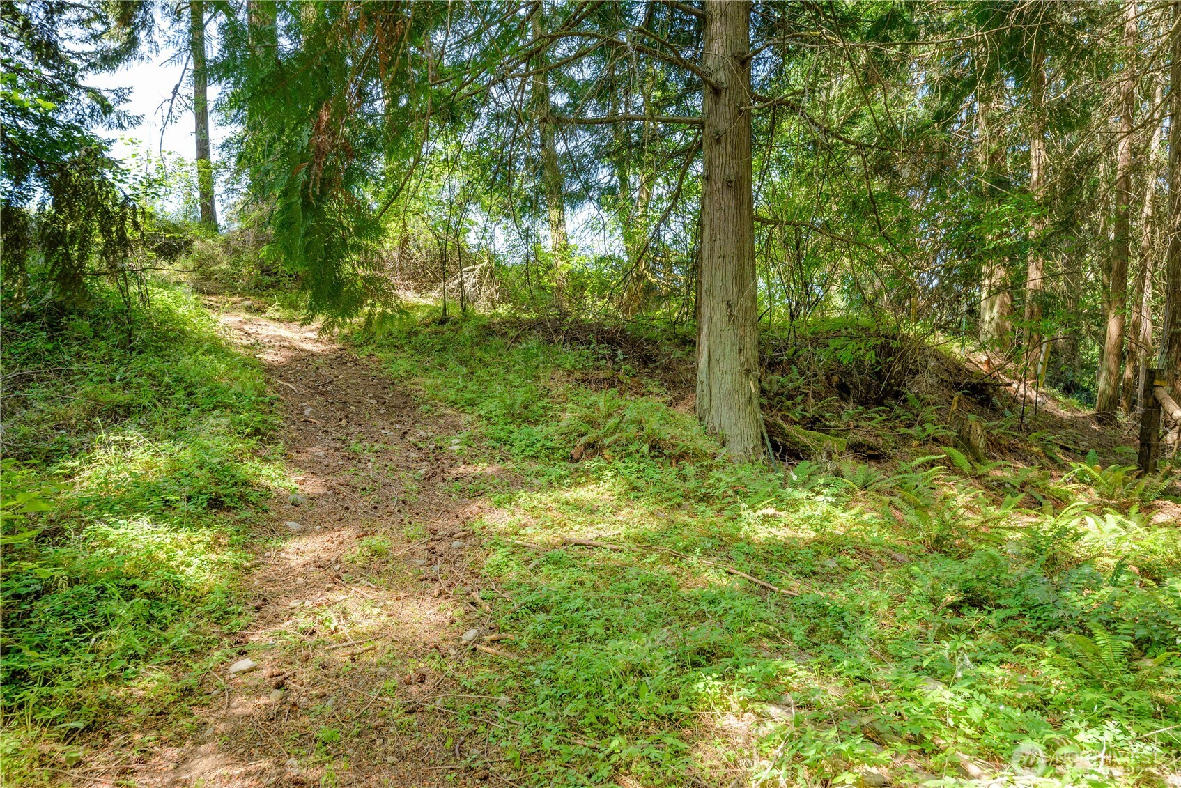 8888 Charles Roberts Road Sequim, WA 98382 - Photo 14 of 15