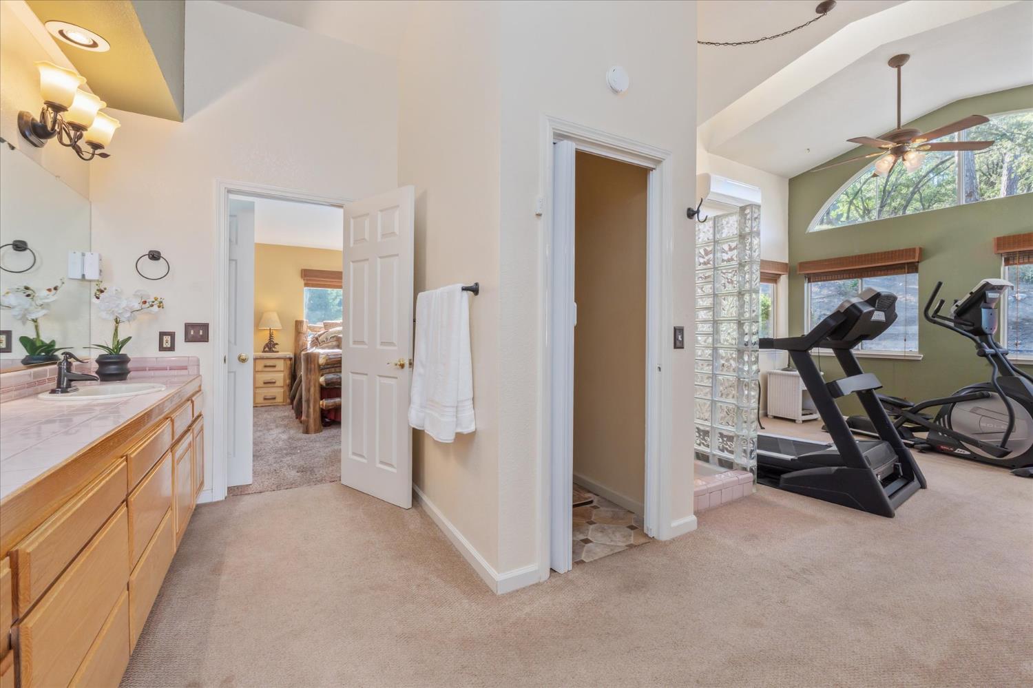 4480 Foster Court Murphys, CA 95247 - Photo 26 of 57 Huge primary bathroom with walk-in shower, water closet, and extra space for exercise equipment.