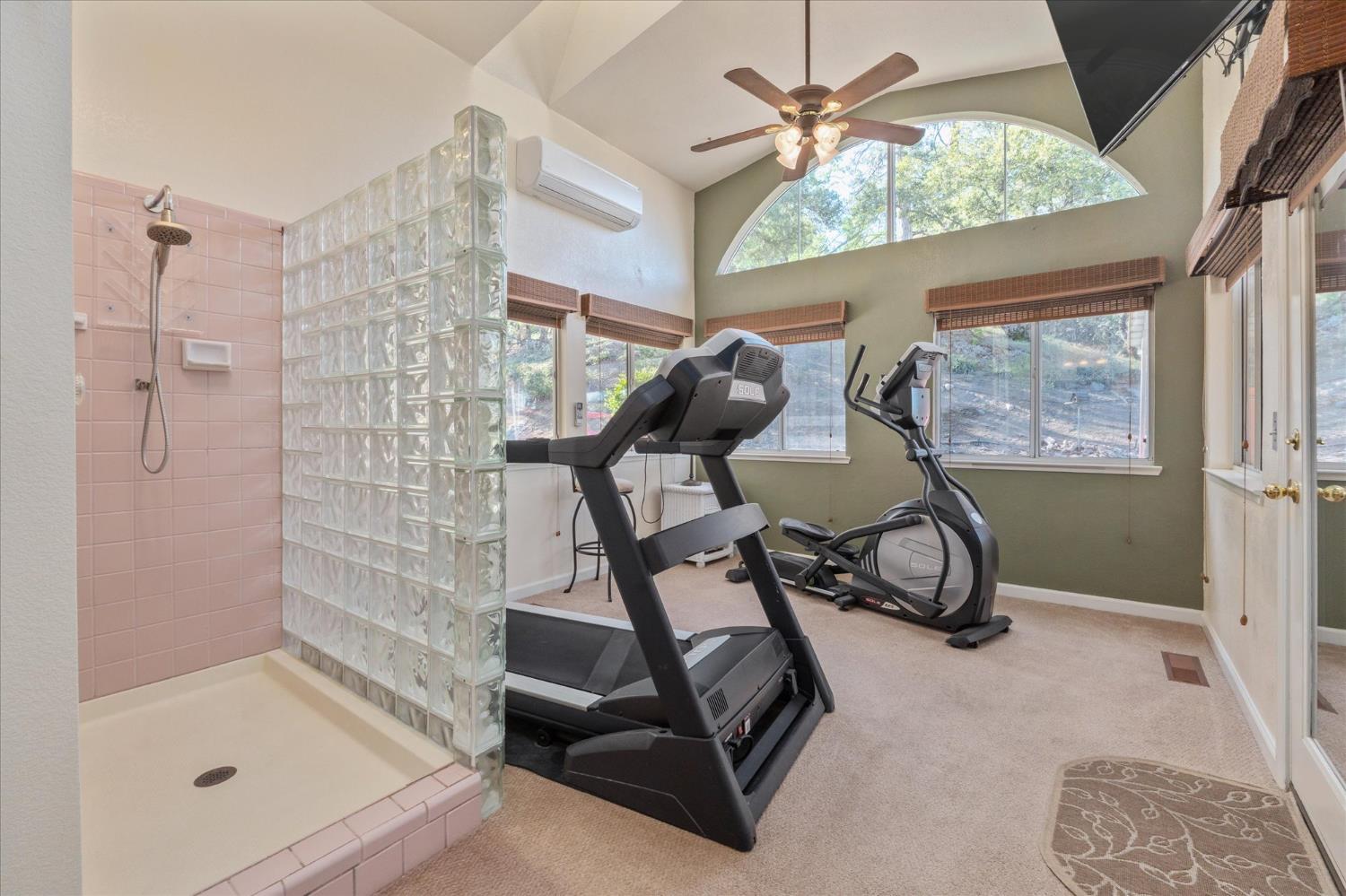 4480 Foster Court Murphys, CA 95247 - Photo 27 of 57 Huge primary bathroom with walk-in shower, water closet and extra space for exercise equipment. Mini-split added for year-round comfort.
