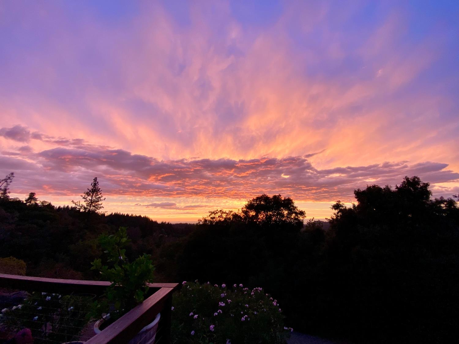 4480 Foster Court Murphys, CA 95247 - Photo 53 of 57 Absolutely glorious Sierra Foothills sunset from the front deck.