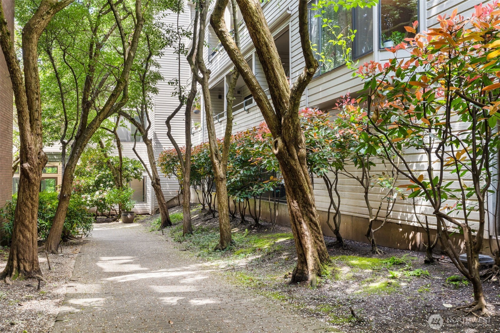 211 Summit Avenue East, Unit S218 Seattle, WA 98102 - Photo 13 of 19 a view of a trees in a yard