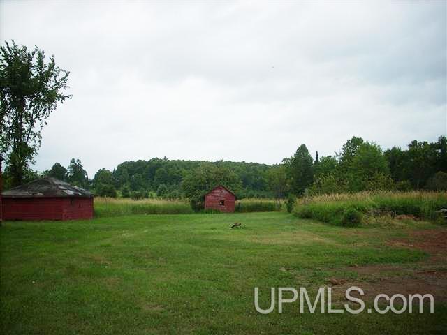 155 Buck Lake Park Road Crystal Falls, MI 49920 - Photo 7 of 13 Gallery Image 7