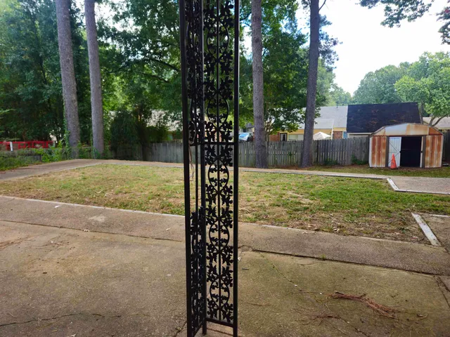 a view of a yard with plants