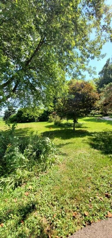 6020 Hickory Street Harvard, IL 60033 - Photo 16 of 17 a view of a grassy field with an trees