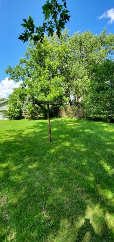 6020 Hickory Street Harvard, IL 60033 - Photo 17 of 17 a view of a garden with a tree