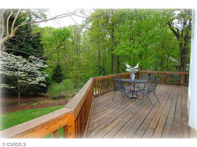 14301 Winter Ridge Lane Midlothian, VA 23113 - Photo 13 of 16 Gallery Image 13