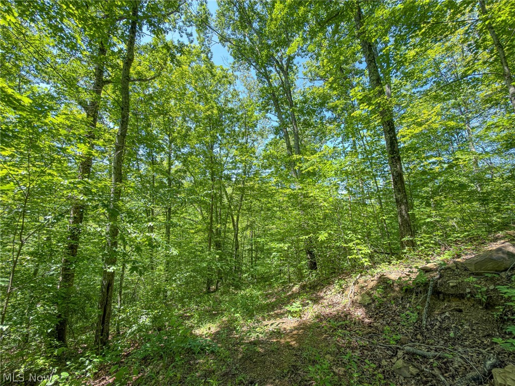 0 Twp Road Marietta, OH 45750 - Photo 18 of 50