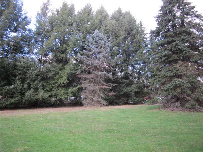 330 Stoney Road Natrona Heights, PA 15065 - Photo 9 of 22 Land/Lot. beautiful serene level lot