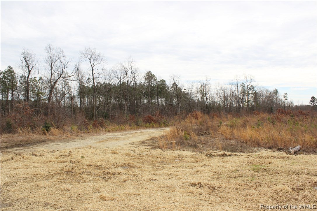 Lot Diamond Diamond Grove Road Skippers, VA 23879 - Photo 3 of 6 Gallery Image 3