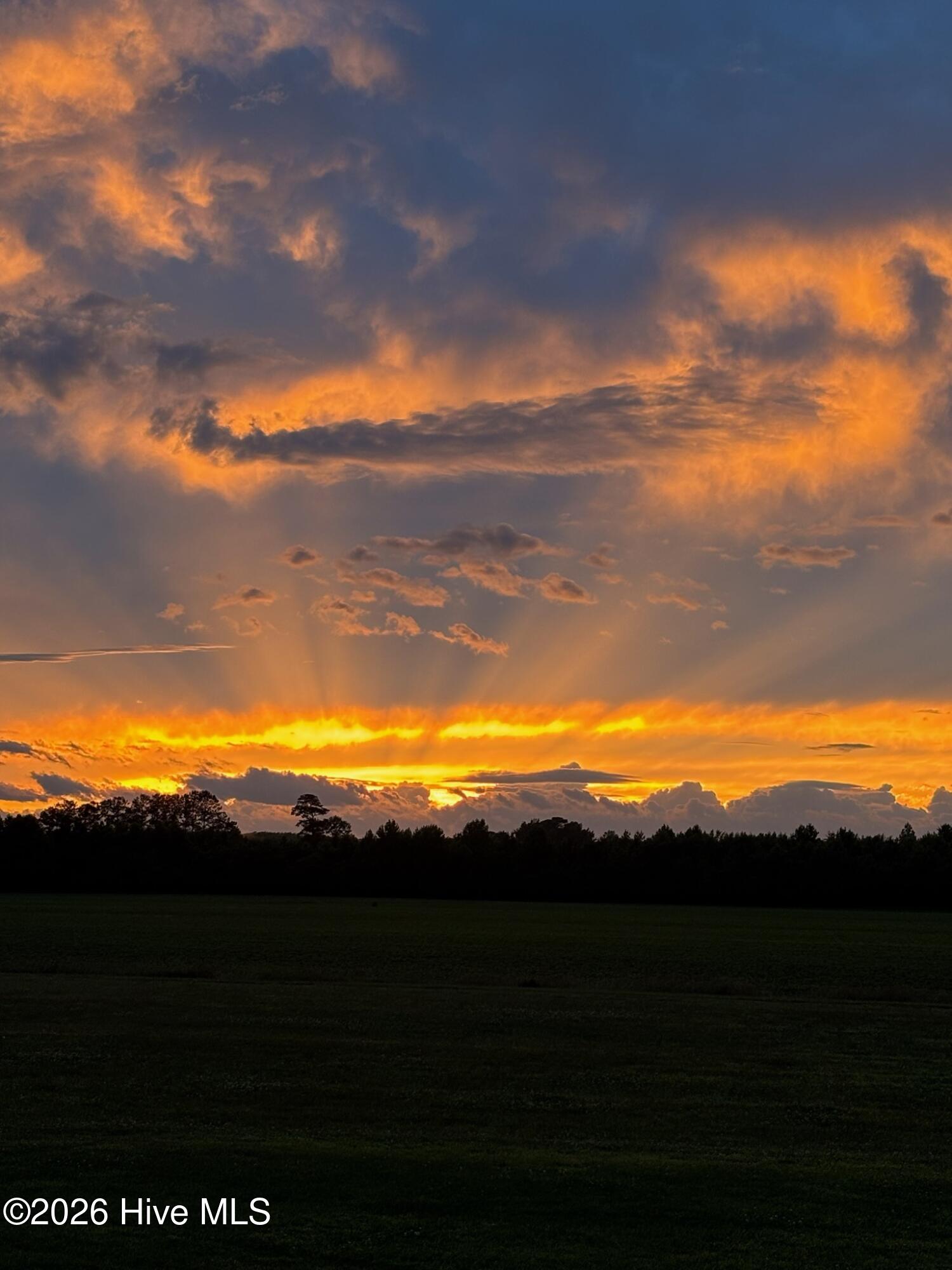 2336 Wharton Station Road Washington, NC 27889 - Photo 45 of 55 044 Sunset from Back Patio View 3