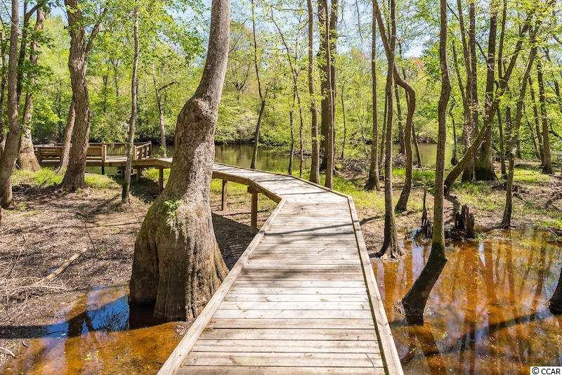 1654 Embree Road Bamberg, SC 29003 - Photo 13 of 40 Gallery Image 13