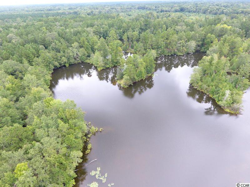 1654 Embree Road Bamberg, SC 29003 - Photo 15 of 40 Gallery Image 15