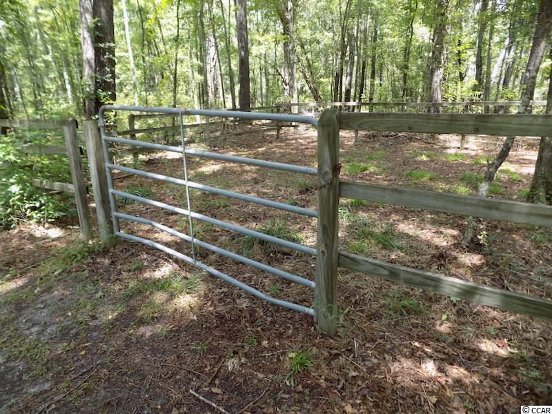 1654 Embree Road Bamberg, SC 29003 - Photo 19 of 40 Gallery Image 19