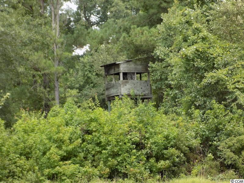 1654 Embree Road Bamberg, SC 29003 - Photo 25 of 40 Gallery Image 25