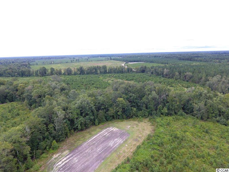 1654 Embree Road Bamberg, SC 29003 - Photo 26 of 40 Gallery Image 26