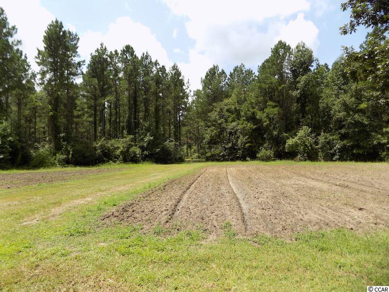 1654 Embree Road Bamberg, SC 29003 - Photo 27 of 40 Gallery Image 27