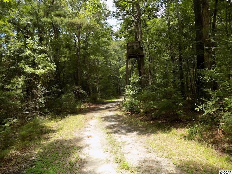 1654 Embree Road Bamberg, SC 29003 - Photo 29 of 40 Gallery Image 29