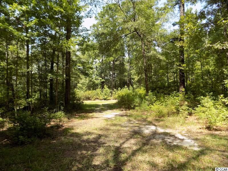 1654 Embree Road Bamberg, SC 29003 - Photo 31 of 40 Gallery Image 31