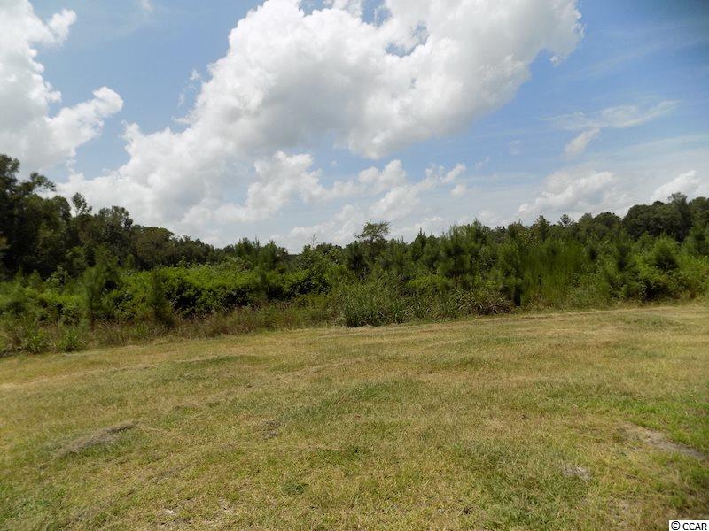 1654 Embree Road Bamberg, SC 29003 - Photo 32 of 40 Gallery Image 32