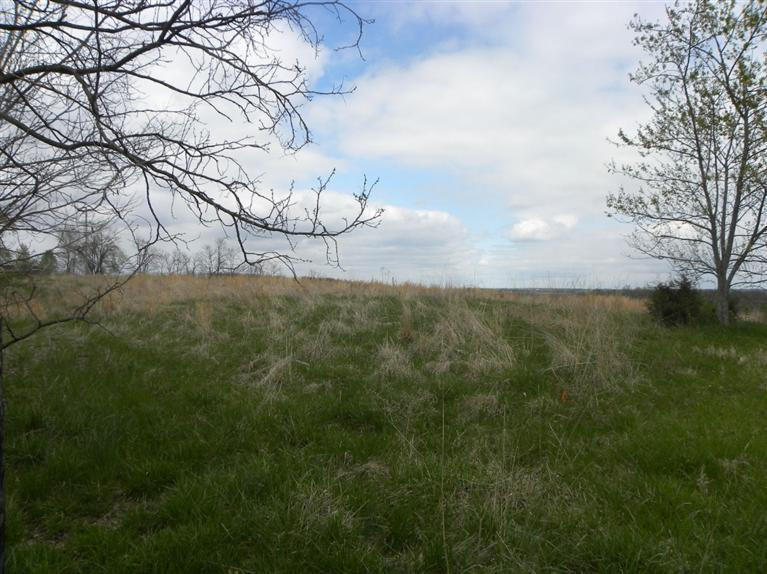 1 Pea Ridge Road Stamping Ground, KY 40379 - Photo 1 of 3 Photo 1