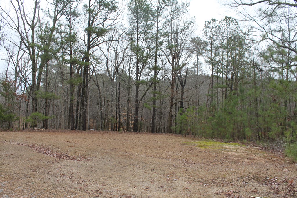 7895 Cove Road Woodbury, GA 30293 - Photo 35 of 38 Gallery Image 35