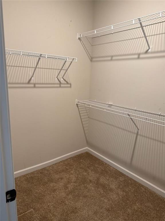 801 Relic Ridge Hampton, GA 30228 - Photo 26 of 31