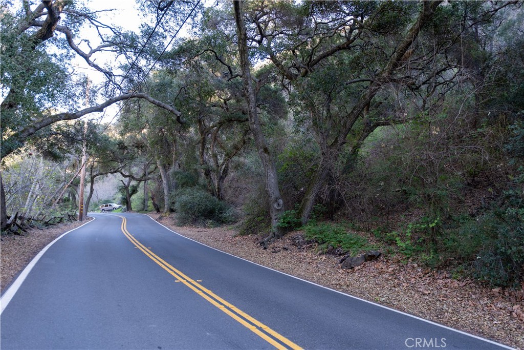 30792 Silverado Canyon Road Silverado, CA 92676 - Photo 6 of 9 a view of a yard with plants and trees