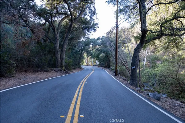 a view of a road with a tree in the background