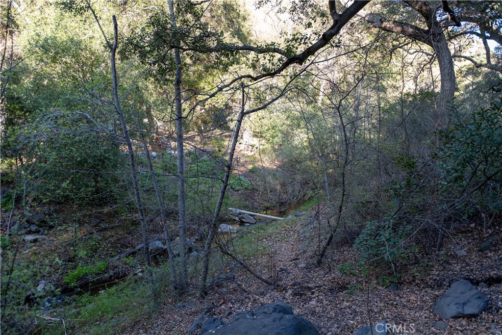 30792 Silverado Canyon Road Silverado, CA 92676 - Photo 9 of 9 a view of a forest with trees in the background