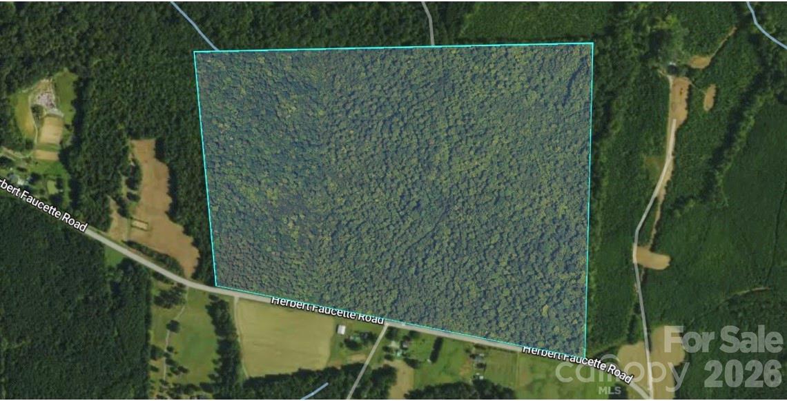 0 Herbert Faucette Road Bullock, NC 27507 - Photo 39 of 40
