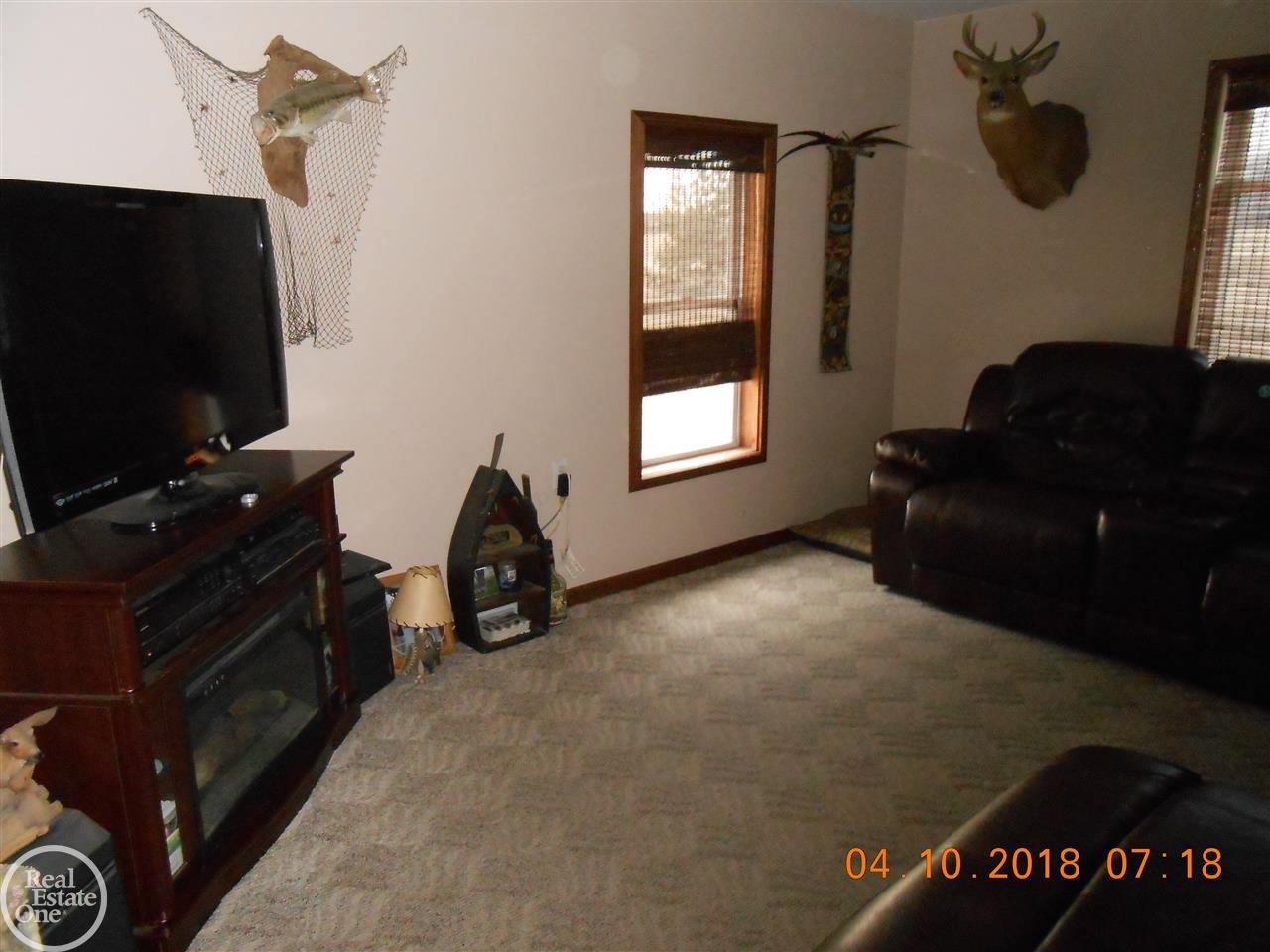 4170 Sheridan Line Road Croswell, MI 48422 - Photo 8 of 22